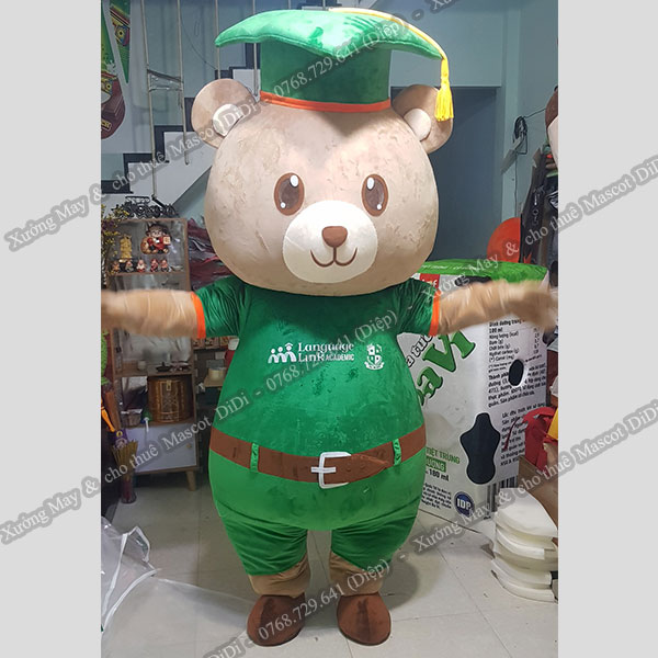 Mascot Gấu tốt nghiệp